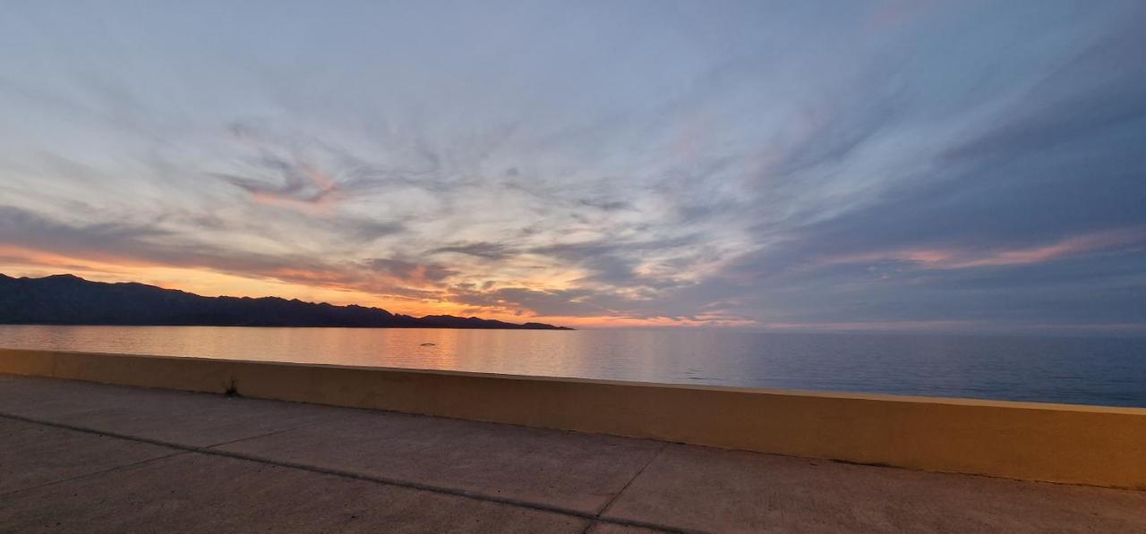 Apartament Casa Marine Du Soleil 60 Patrimonio Zewnętrze zdjęcie