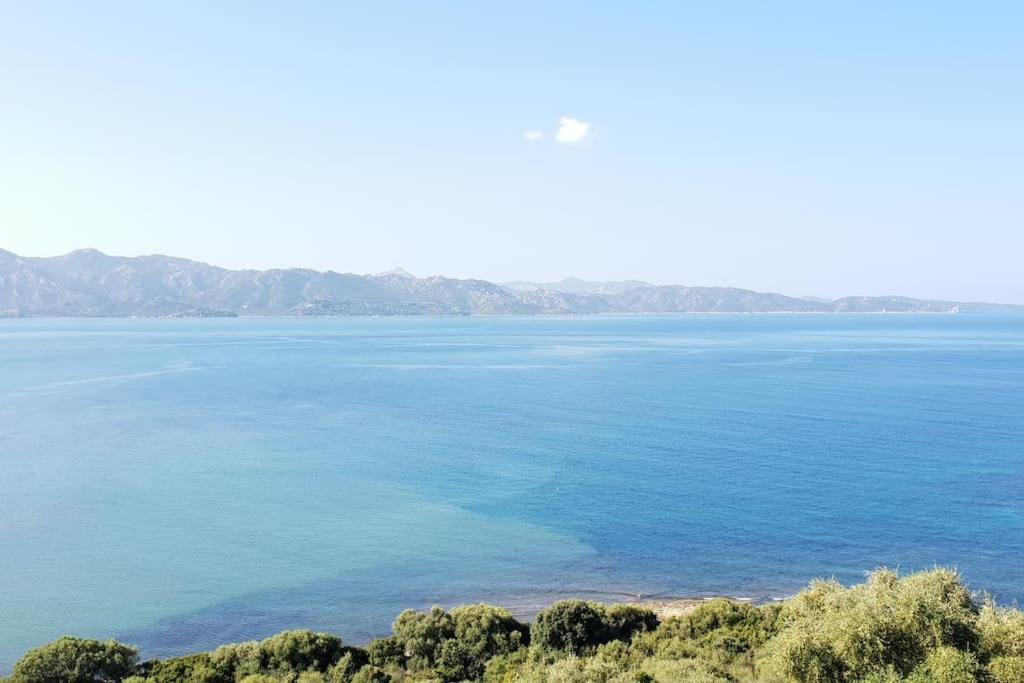 Apartament Casa Marine Du Soleil 60 Patrimonio Zewnętrze zdjęcie